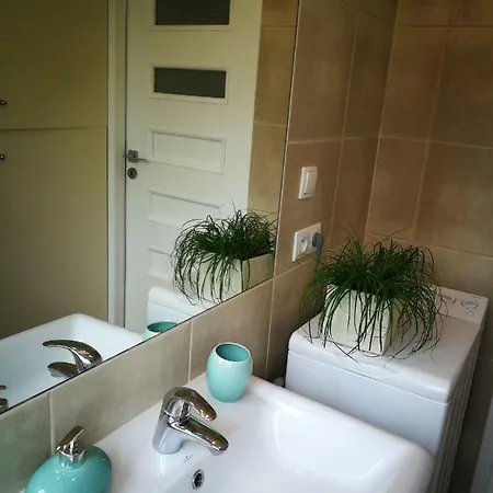 Lemon Tree * Breslau