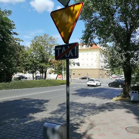 Apartment Lemon Tree