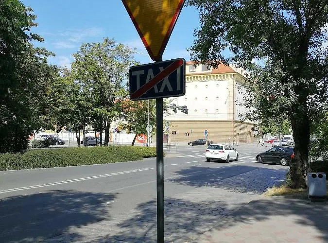 Apartment Lemon Tree